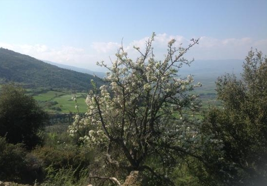 Iti National Park.jpg